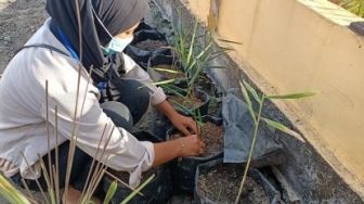 Mahasiswa Kukerta UNRI Buat Kepala Desa Tersenyum, Ini yang Dilakukan