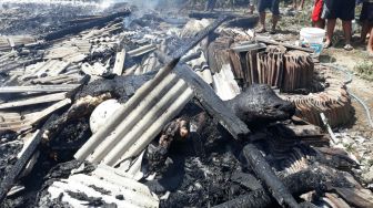 Tragis! Dua Rumah Warga Gresik Terbakar, Ternaknya Jadi 'Sapi Panggang'
