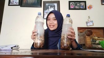 Mahasiswa UNDIP Kenalkan Pemanfaatan Sampah Dapur Menjadi Larutan MOL