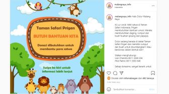 Sedih! Taman Safari Prigen Buka Donasi untuk Pakan Ribuan Satwa Gegara Terdampak Pandemi