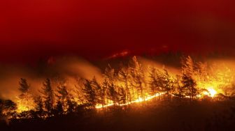 Kobaran api dari kebakaran hutan di desa Akcayaka, Milas, Provinsi Mugla, Turki, pada (6/8/2021). [Yasin AKGUL / AFP]