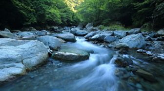 Waspada Buat yang Tinggal di Bantaran Sungai, BMKG Beri Peringatan Ini