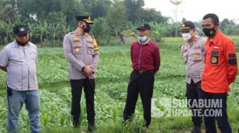 Viral Tanaman Sawi Dibabat karena Tak Laku, Petani Sukabumi Didatangi Polisi