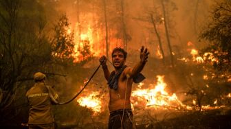 Gawat! Kebakaran Hutan Bikin Risiko Terkena Penyakit Pernapasan Meningkat Pesat