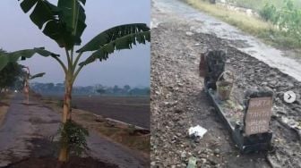 Viral Batu Nisan Kuburan di Tengah Jalan dan 5 Berita Viral Lainnya