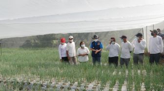 Jababeka Sediakan 2 Hektar Lahan untuk Program Petani Milenial
