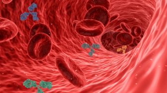 Antibodi Covid-19 Lebih Tinggi Pada Penduduk Usia 50 Tahun dan 4 Berita Kesehatan Lainnya