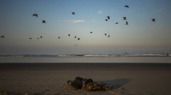 Tunawisma tidur di pantai pada pagi hari di Pantai Venesia, California, Amerika Serikat, pada (12/8/2021). [Apu GOMES / AFP]