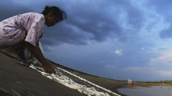 Seorang warga memanfaatkan tanggul Waduk Dawuhan yang airnya menyusut untuk menjemur gaplek di Kabupaten Madiun, Jawa Timur, Jumat (13/8/2021). [ANTARA FOTO/Siswowidodo]