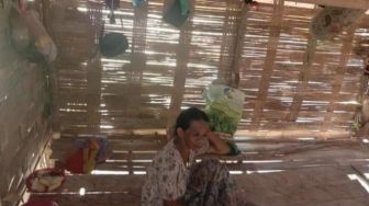 76 Tahun Indonesia Merdeka : Warga Miskin Makan Pisang dan Ubi untuk Bertahan Hidup