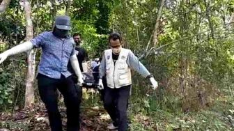 Warga Pangandaran Temukan Hal Tak Terduga saat Tebang Pohon