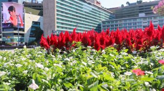 Dekorasi bunga bernuansa merah putih terpajang di kawasan Bundara Hotel Indonesia (HI), Jakarta Pusat, Senin (16/8/2021). [Suara.com/Alfian Winanto]