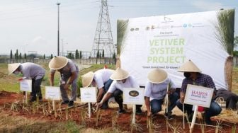 Jababeka Terapkan Vetiver System Demi Wujudkan Green Industrial Estate