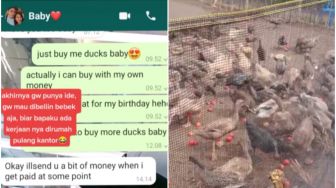 Viral Pacar Bule Beri Hadiah Ultah 1.000 Ekor Bebek, Rumah Auto Ramai