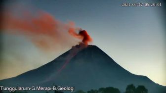 Update Merapi, Dalam 6 Jam Terakhir Tercatat 7 Guguran Lava ke Barat Daya Paling Jauh 2 Km