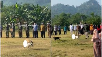 Lagi Upacara Bendera, 2 Insan Ini Malah Asyik Indehoy di Tengah Lapangan