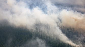 Emisi Gas Rumah Kaca Berganda Akibat Kebakaran Hutan Siberia