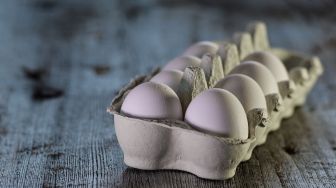 Telur, Protein Pengganti Daging yang Tak Kalah Banyak Manfaatnya