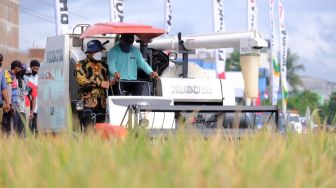 Panen Raya Padi di Sidrap, Plt Gubernur Sulsel: Alhamdulillah Meningkat