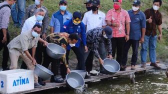 Gubernur Andi Sudirman Tebar 30 Ribu Benih Udang Windu di Pinrang