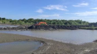 Mangrove Dirusak di Pesisir Pinrang, WALHI Sulsel Minta Pemerintah Bertindak