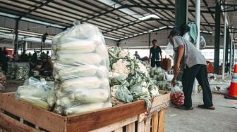 Pedagang merapikan cabai  sayur di Pasar Induk Jatiuwung, Tangerang, Senin (23/8). (Suara.com/ Hilal Rauda Fiqry)