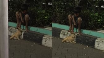 Mengandung Bawang, Viral Foto Bocah Peluk Erat Kucing di Pinggir Jalan