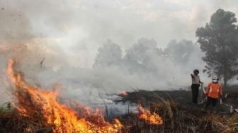 115 Titik Panas Terpantau di Sumatera, Riau Nihil