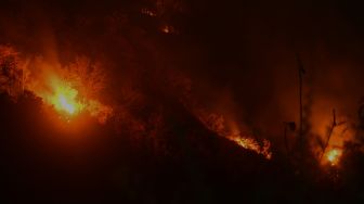 Kebakaran Hutan di Situbondo