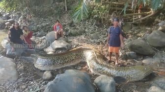 Warga Tangkap Ikan Seberat 1 Ton Bikin Syok, Publik: Kreativitas Tanpa Batas