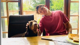 Bukan Laba-Laba, Hewan Favorit Tom Holland Ternyata Anjing Jenis Ini!