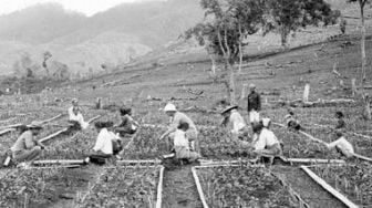 Kenapa Belanda Baru Mengakui Kemerdekaan RI 17 Agustus 1945 Hari Ini?