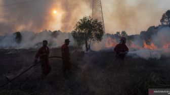 900 Hektar Lahan di Sumsel Terbakar Selama Empat Bulan Terakhir