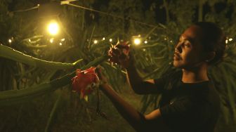 Petani mengecek buah naga di kebun yang disinari lampu di kebunnya di Purwoharjo, Banyuwangi, Jawa Timur, Minggu (29/8/2021). [ANTARA FOTO/Budi Candra Setya]