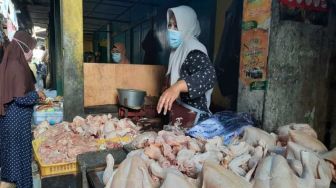 Harga Daging Ayam dan Telur di Solo Turun, Ini Penyebabnya