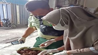 Kulit Manggis Asal Sumut Diekspor ke Tiongkok