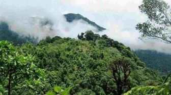 Misteri Hilangnya Anjing Pemburu Babi Hutan di Hutan Gunung Sawal Ciamis Bikin Geger Warga