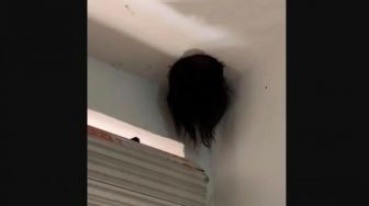 Heboh Kepala Bocah Perempuan Nyangkut di Lubang Kipas Angin, Videonya Viral
