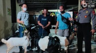 Cerdik! Ungkap Kasus Pencurian Kambing, Polisi Tuban Nyaru Jadi Pembeli Ayam