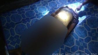 BBKSDA Riau Merasa Aneh Tak Ada Bekas Cakar di Tubuh Malta Nduru