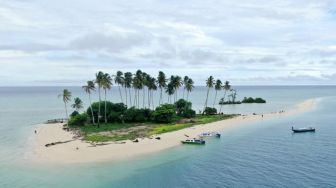 Webstory: 10 Pulau Terbesar di Dunia