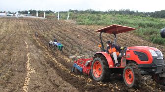 Tahun Depan Target Penambahan Lahan 2.000 Ha di Food Estate