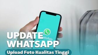 Update Terbaru WhatsApp, Buat Pengguna Bisa Kirim Foto Kualitas Tinggi