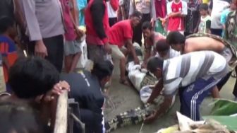 Lihat Buaya 4 Meter di Tambak Udang Miliknya, Warga Ketapang Lampung Selatan Ini Kabur