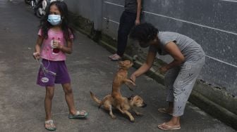 Warga membawa hewan peliharaannya untuk melakukan vaksinasi rabies dan pemeriksaan kesehatan hewan peliharaan secara gratis di RT 01/02, Cilangkap, Cipayung, Jakarta, Selasa (7/9/2021). [Suara.com/Angga Budhiyanto]