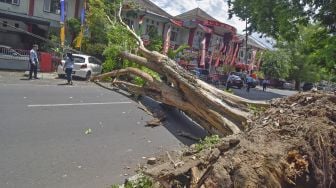 Ini Jenis Bencana yang Sering Terjadi di Bandar Lampung selama 2021