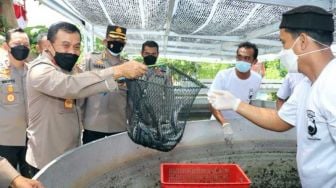 Kapolda Jateng Panen dan Tabur 3.000 Benih Ikan Lele di Pelosok Sukoharjo