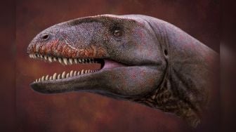 Lebih Besar dari T-rex, Dinosaurus Raksasa Bergigi Hiu Ditemukan di Uzbekistan