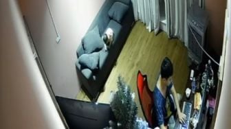Viral Video Detik-detik Bayi Jatuh dari Sofa, Bikin Deg-degan