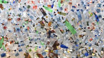 Relawan mengaitkan botol plastik bekas saat pembuatan instalasi Museum Plastik di Ecological Observation and Wetlands Conservation (Ecoton) di Gresik, Jawa Timur, Kamis (9/9/2021).  ANTARA FOTO/Zabur Karuru